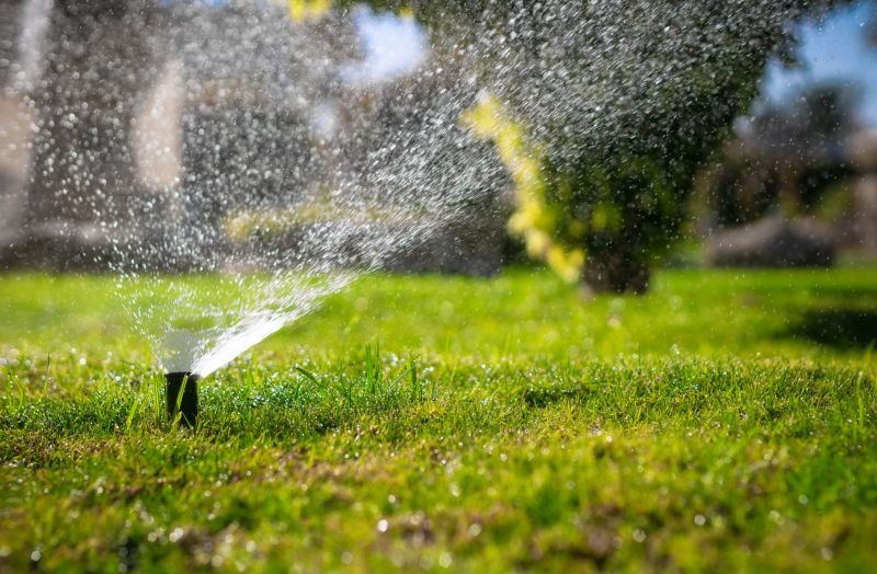 Irrigation Line Repair
