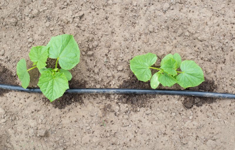 Measuring & Fit Tips