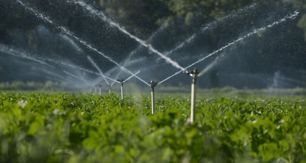 Irrigation Valve Repair