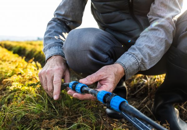 Irrigation Pipe Repair